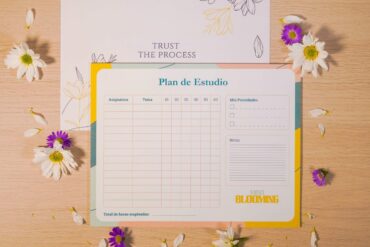 plan de estudio